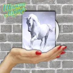 лошадь, конь, horse